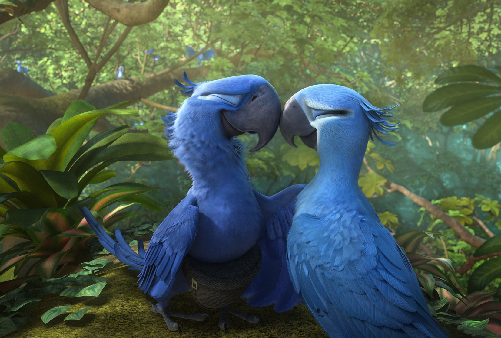 Rio 2 Rio 2