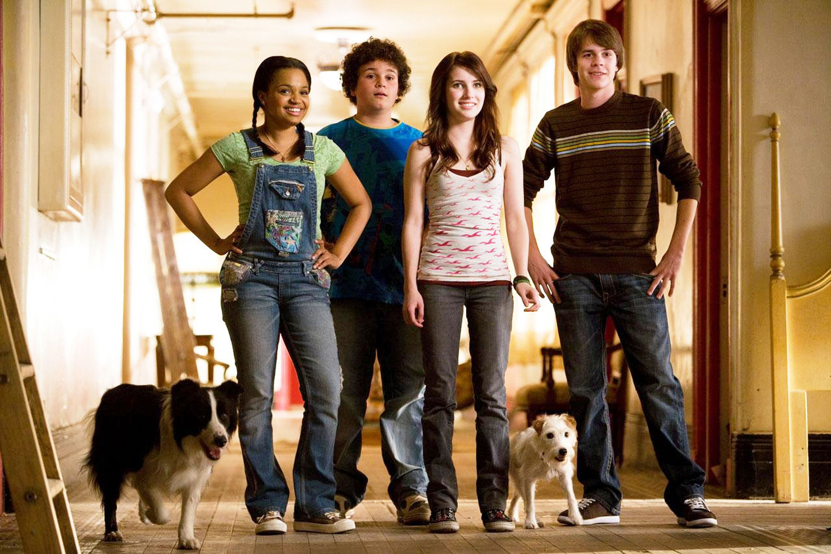 Hotel For Dogs