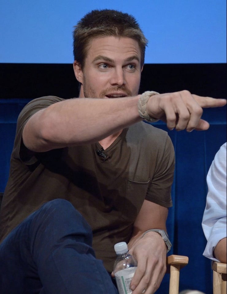Picture of Stephen Amell.