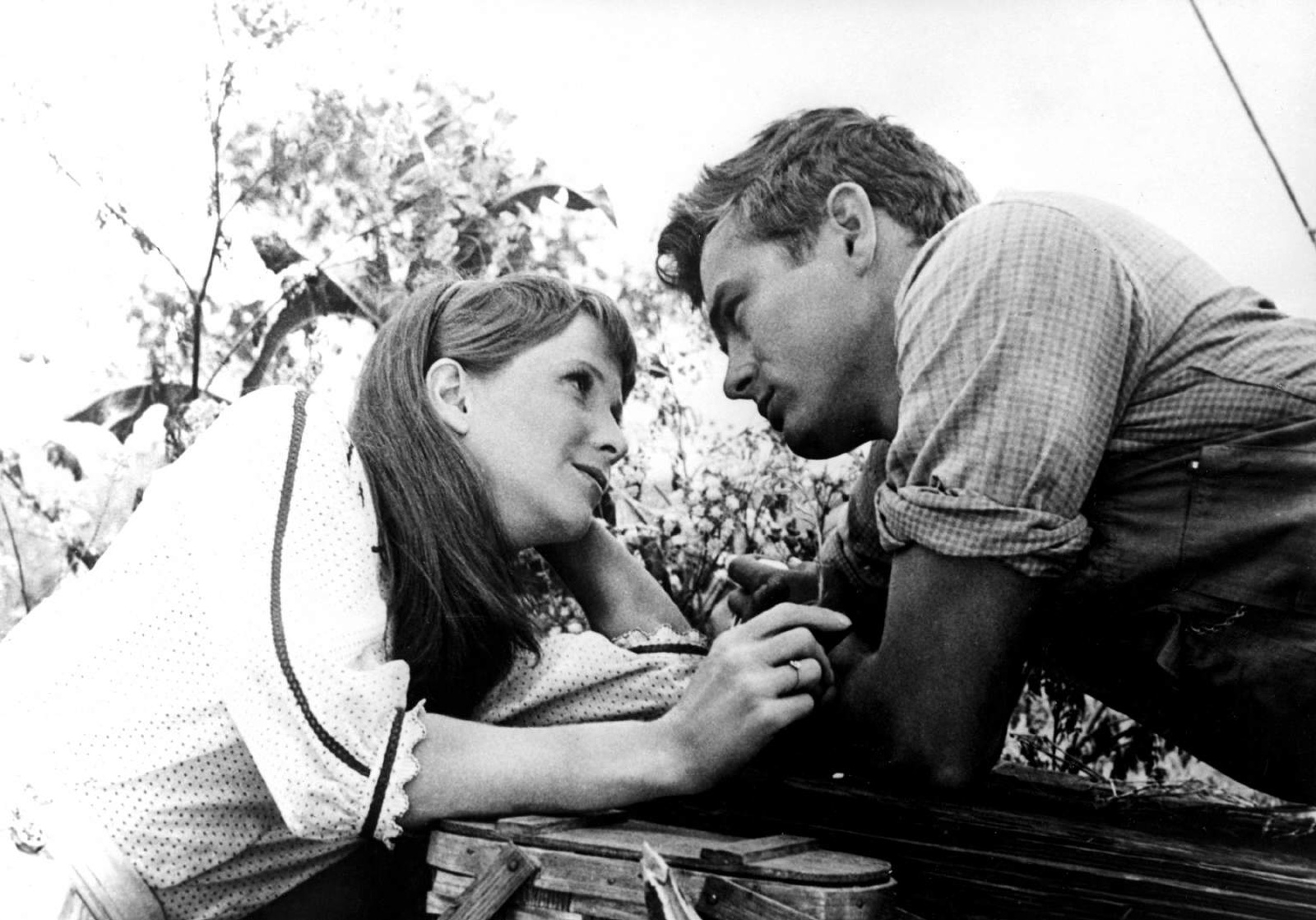 James Dean