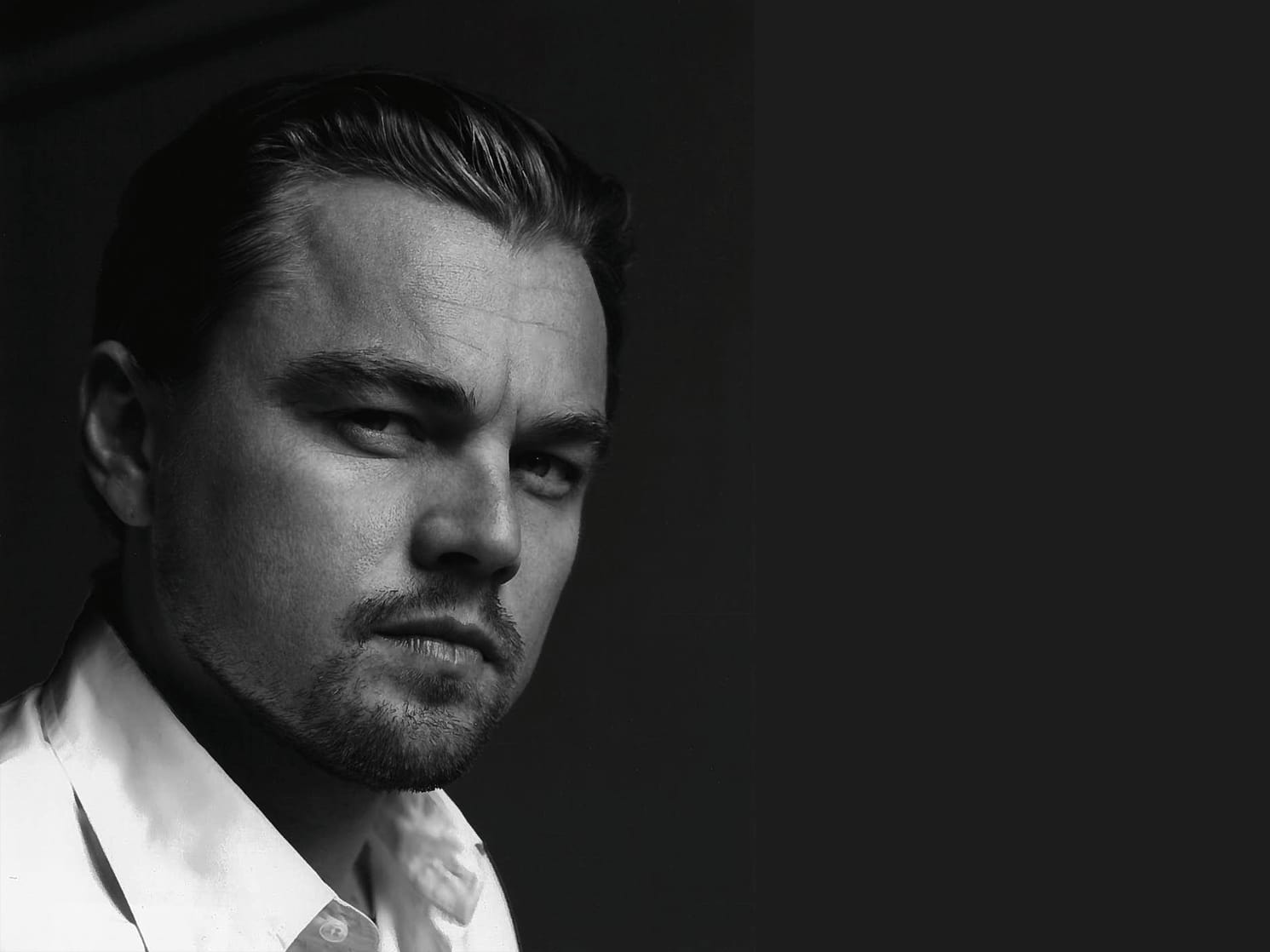 Leonardo DiCaprio