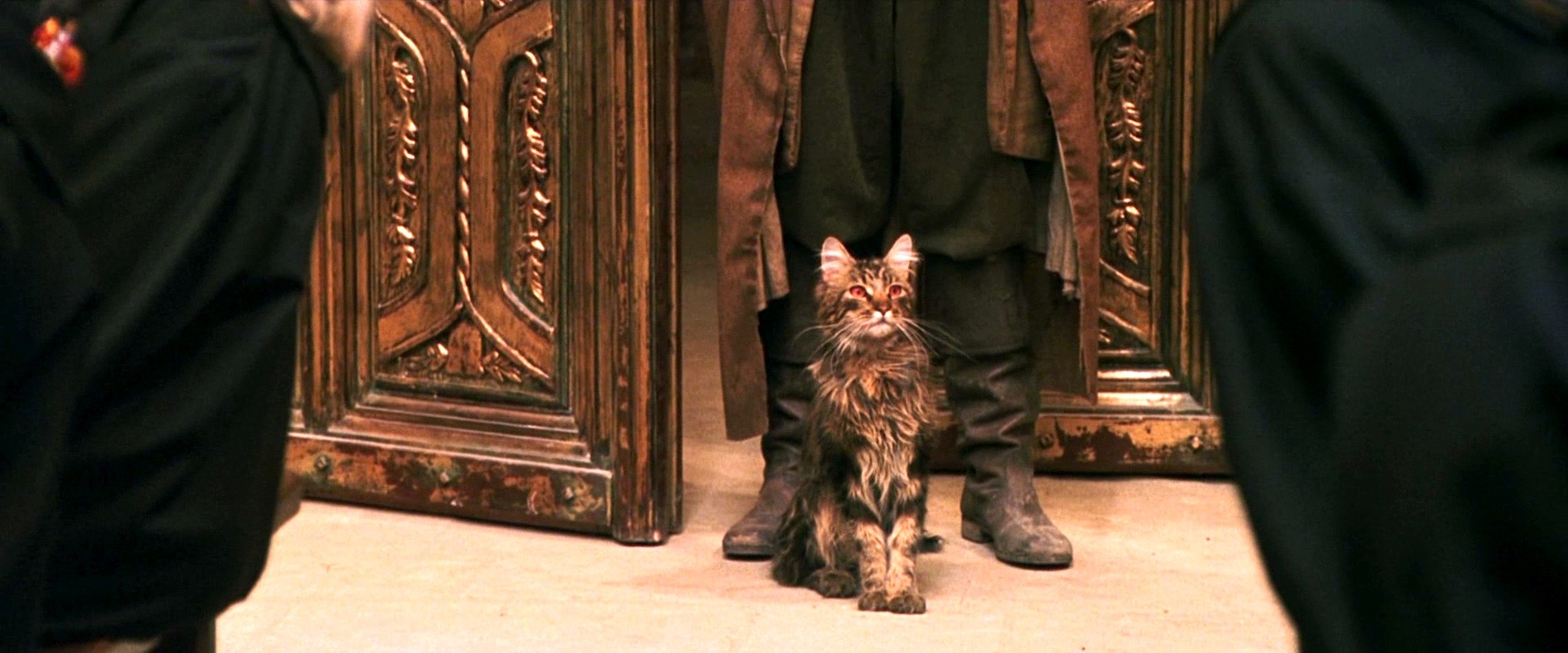 Harry Potter and the Philosopher's Stone Harry Potter and the Philosopher's Stone