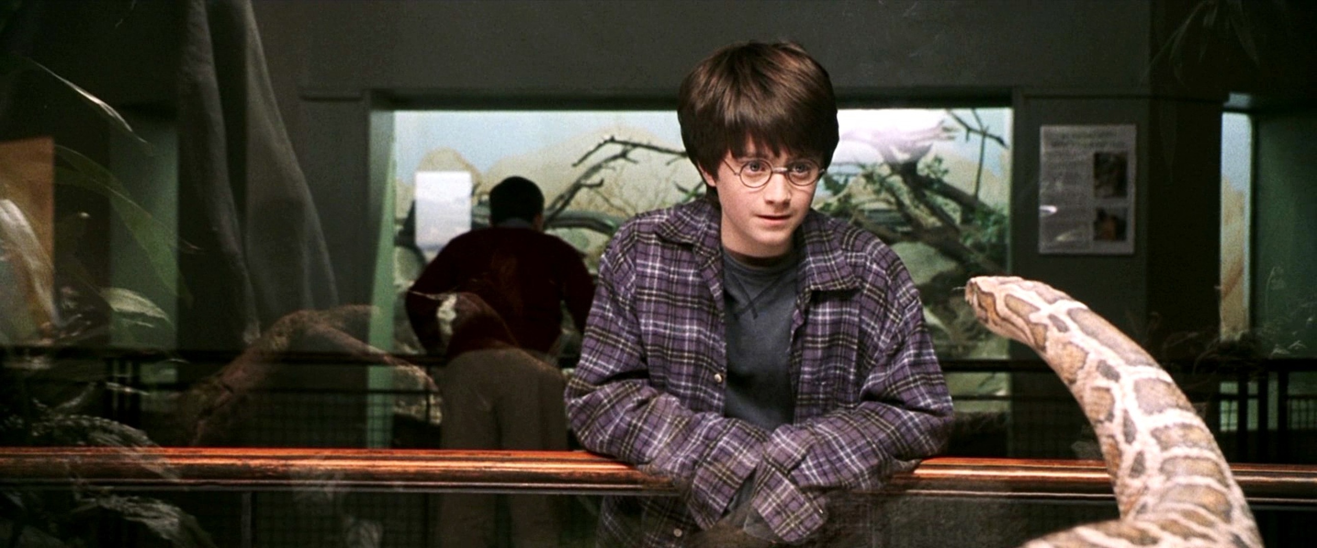 Harry Potter and the Philosopher's Stone Harry Potter and the Philosopher's Stone