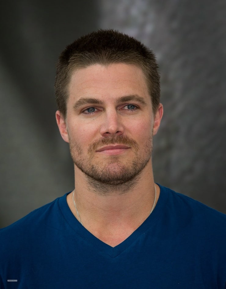 Picture Of Stephen Amell 5551