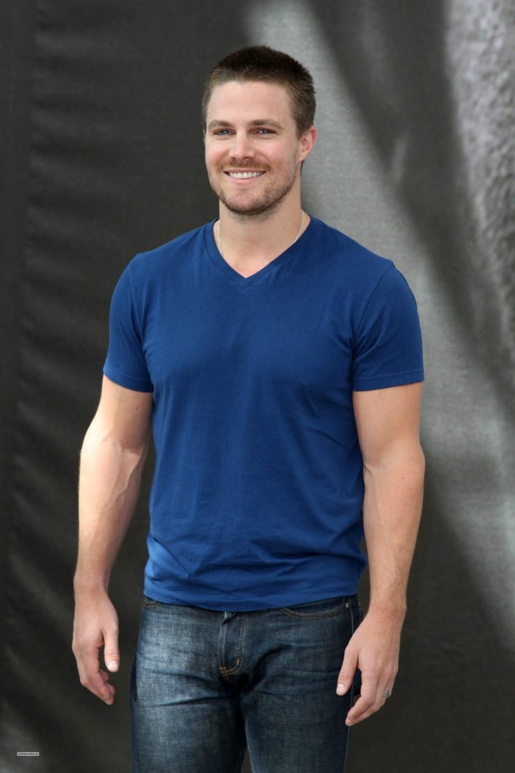 Picture Of Stephen Amell 1441