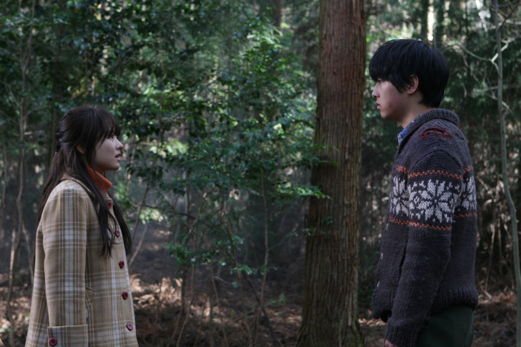 A Werewolf Boy