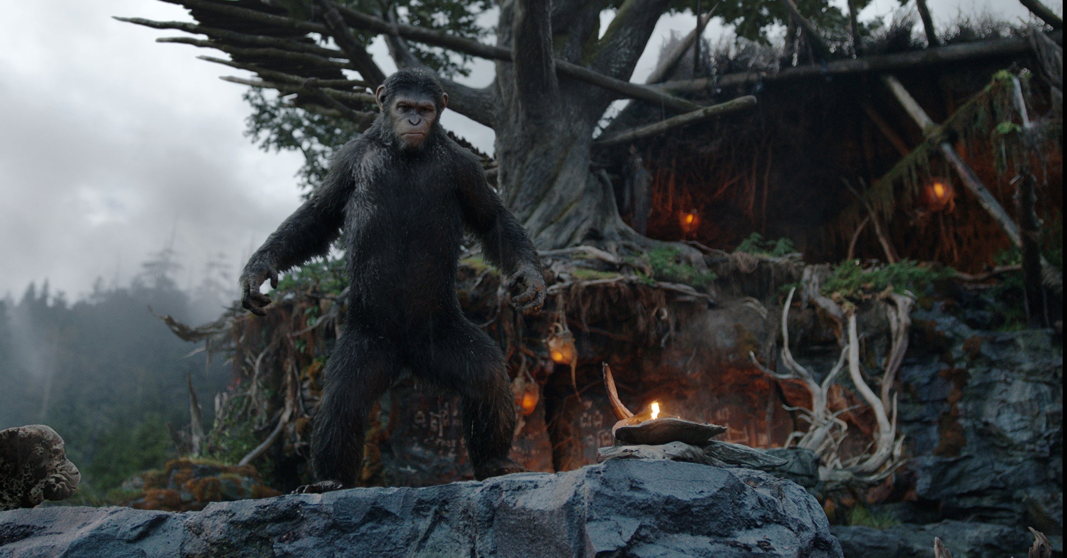 Dawn of the Planet of the Apes Dawn of the Planet of the Apes