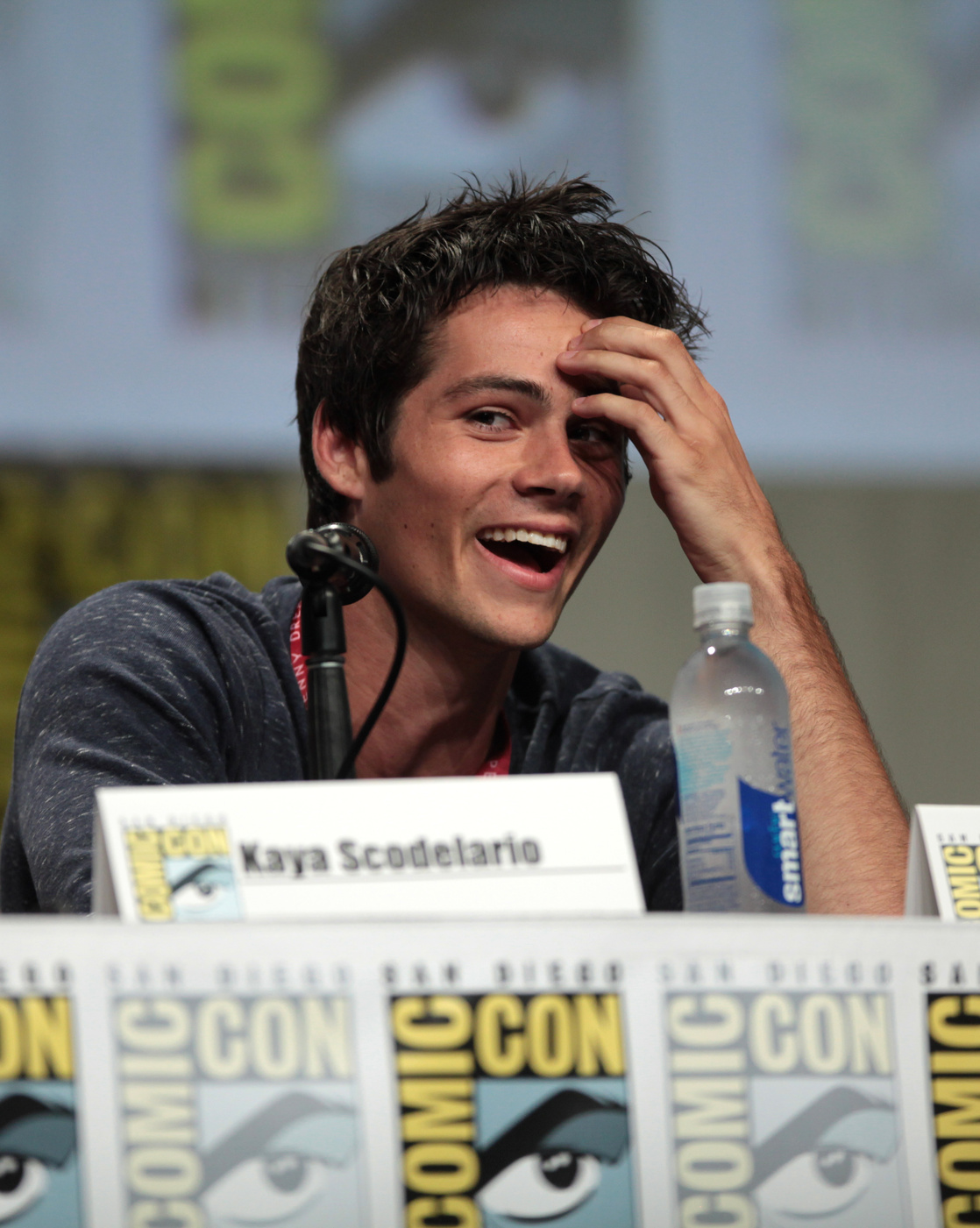 SDCC 2014