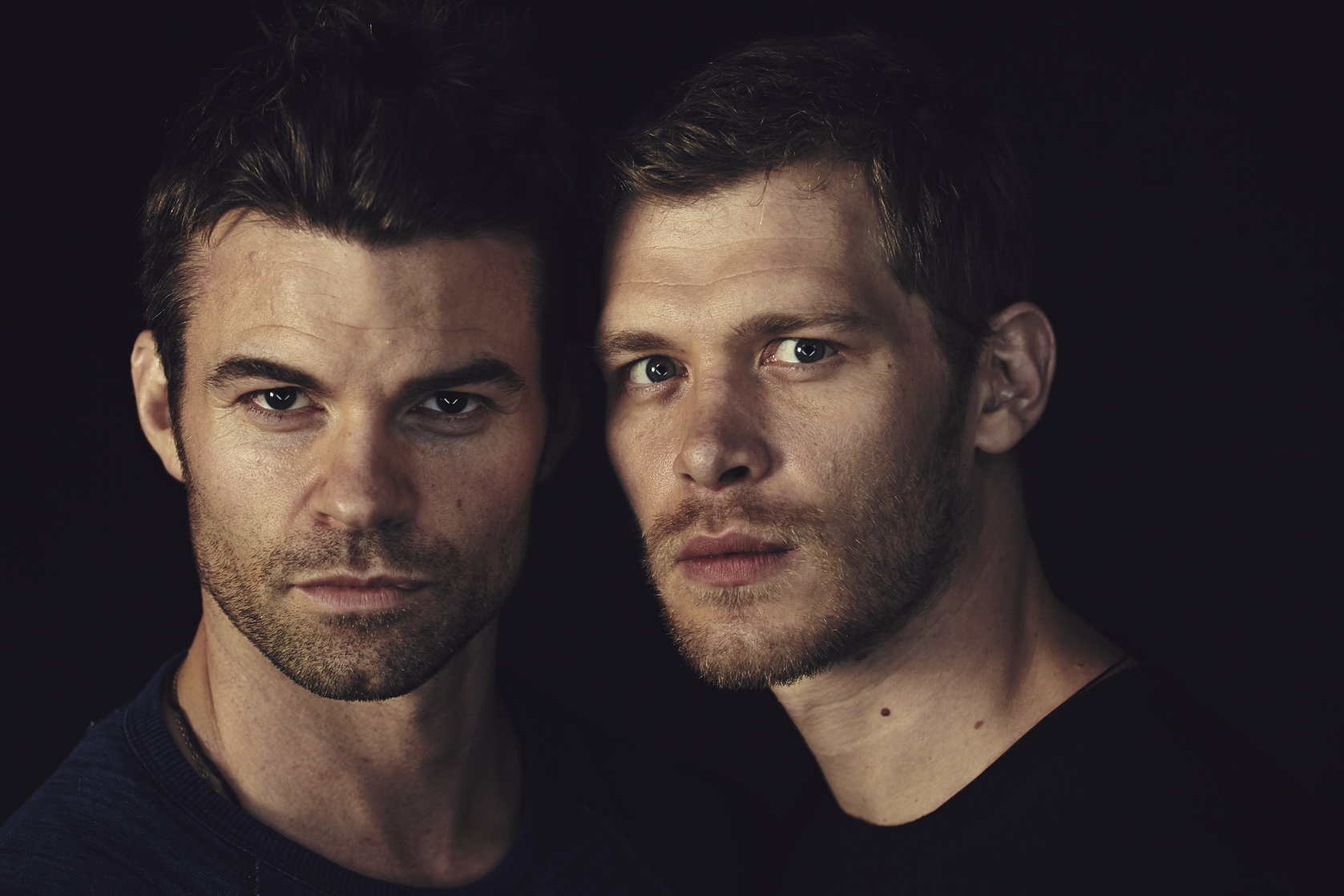 Daniel Gillies