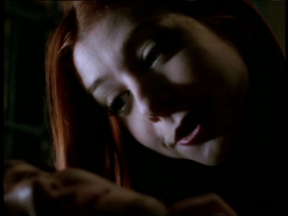 Vampire Willow (Wishverse) Vampire Willow (Wishverse)