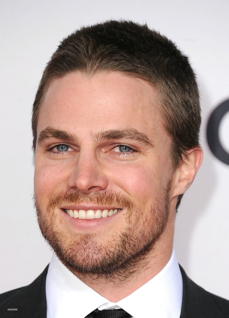 Picture of Stephen Amell