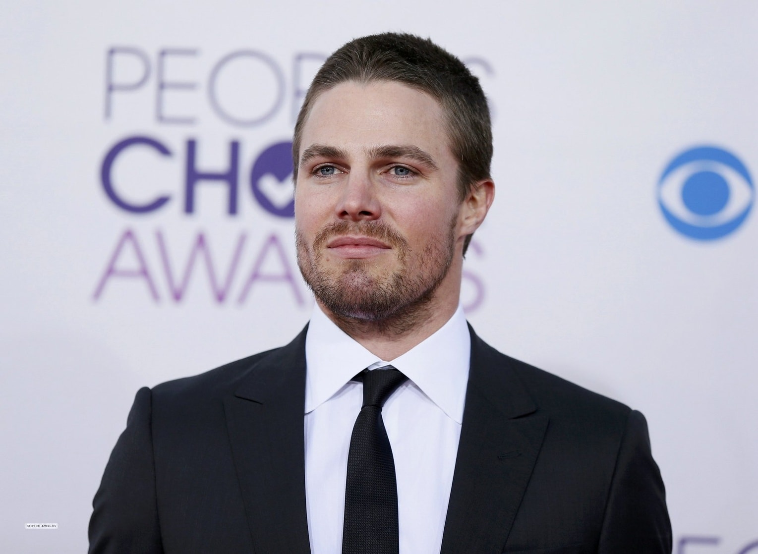 Stephen Amell image