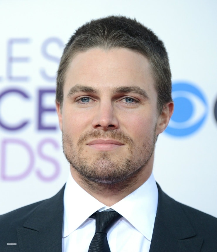 Stephen Amell picture