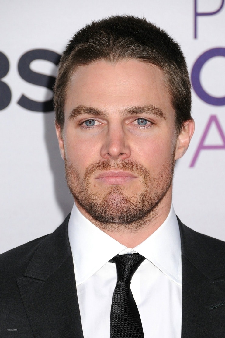 Picture Of Stephen Amell 4515