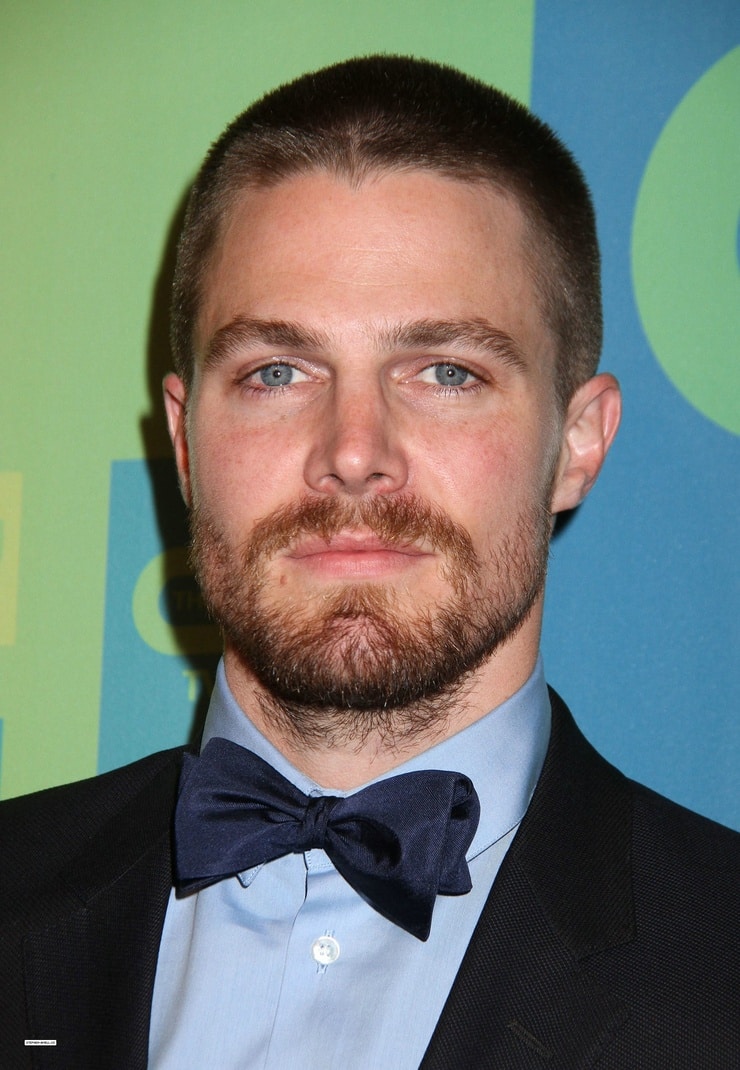 Stephen Amell picture