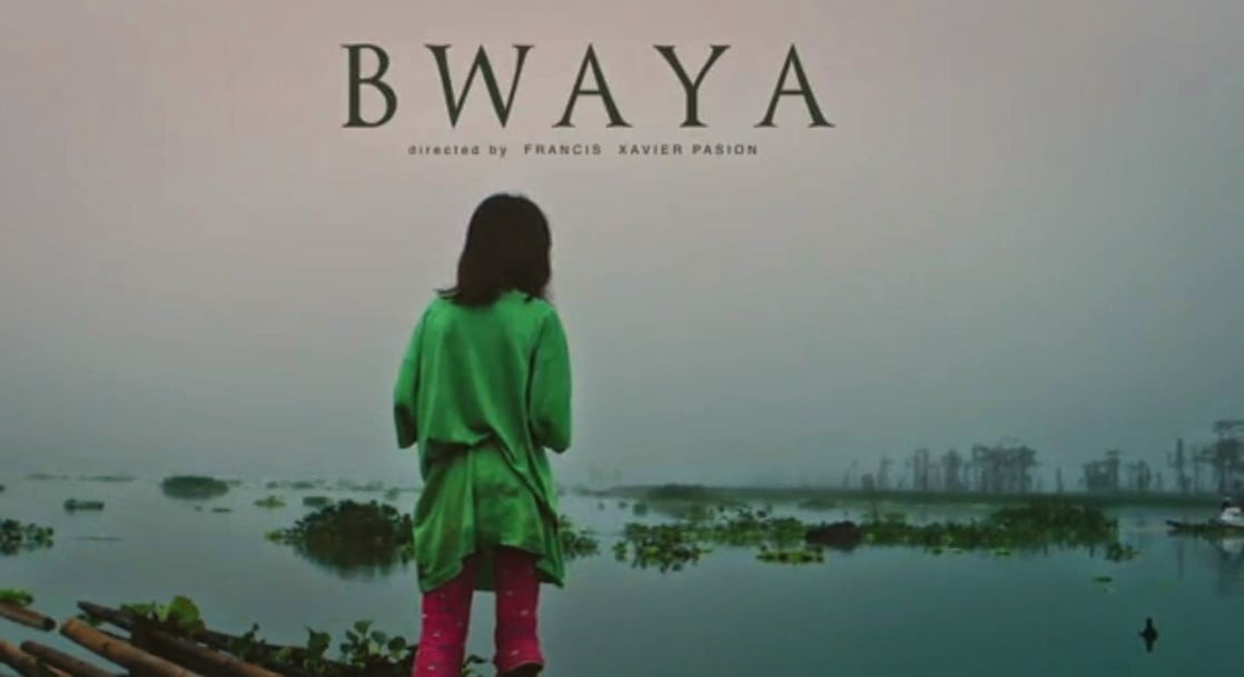 Bwaya