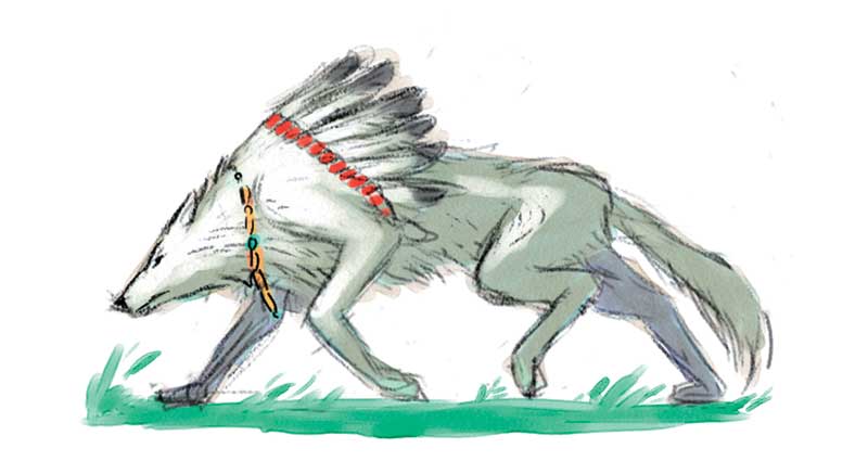 Ōkami