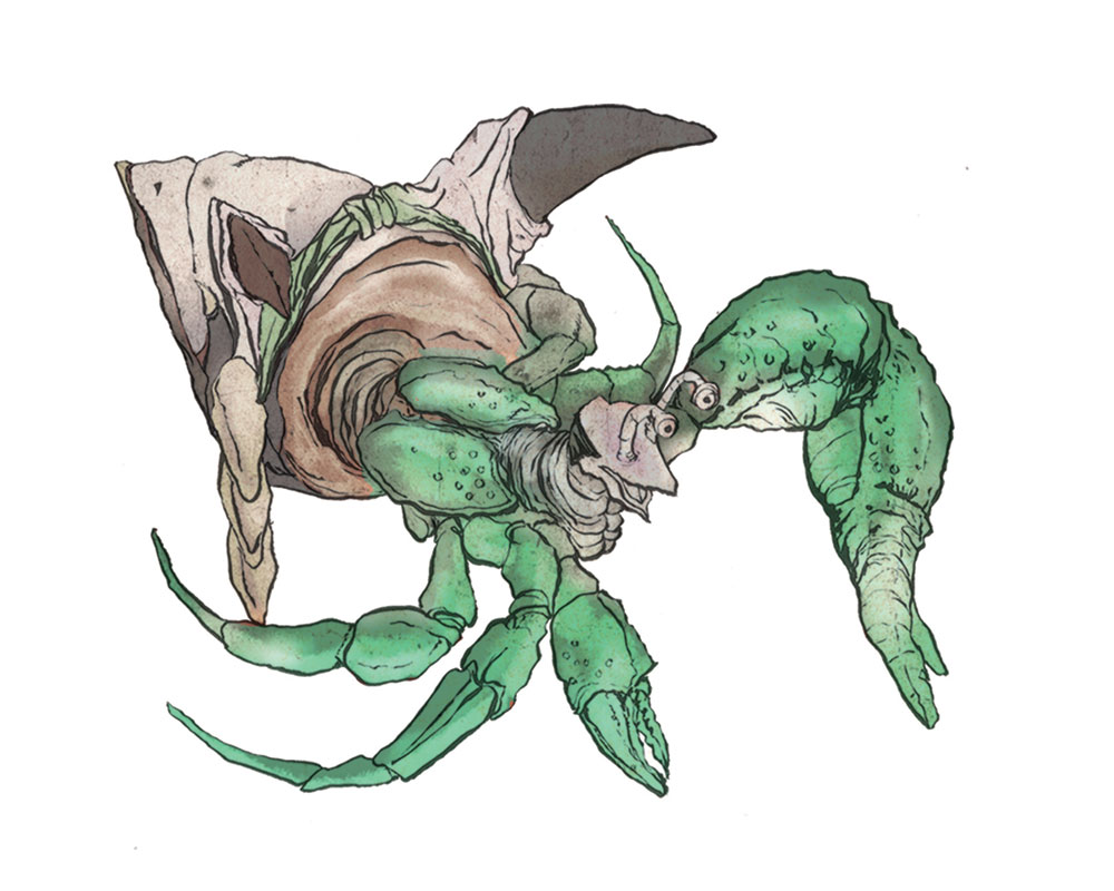 Ōkami