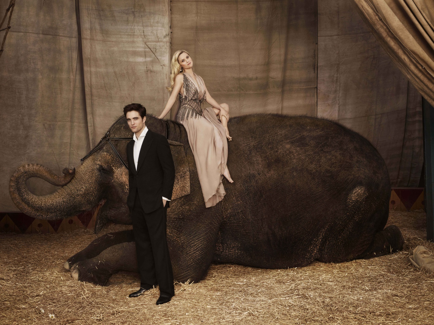 Water for Elephants