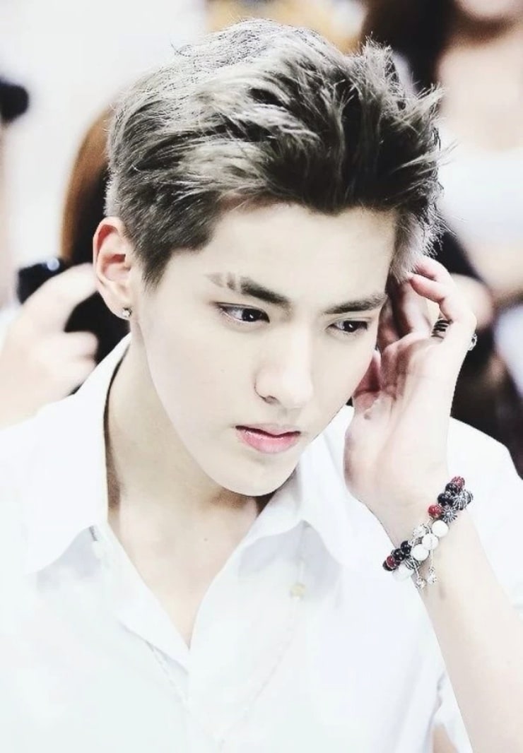 Picture of Kris Wu