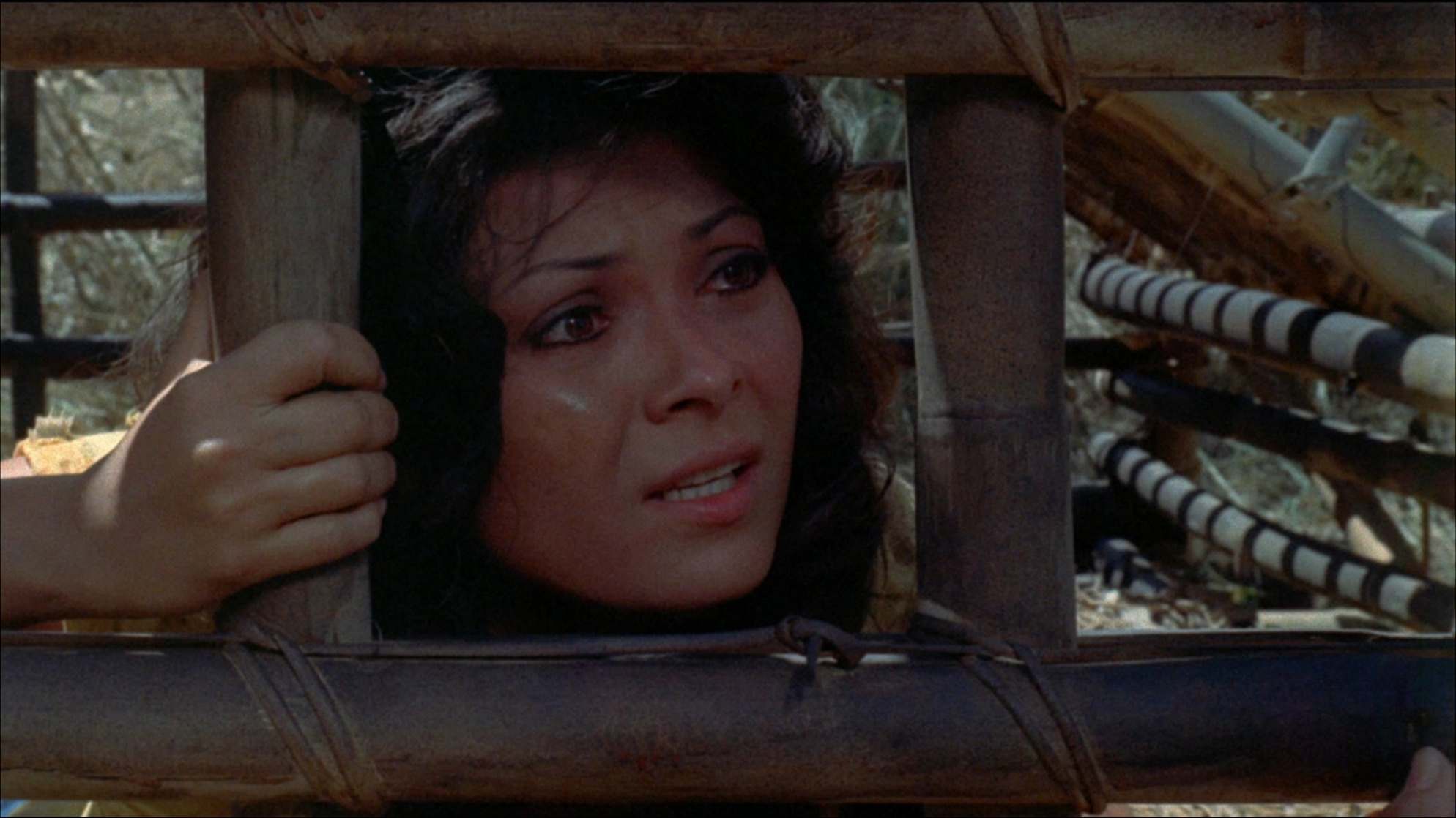 Women in Cages (1971) Women in Cages (1971)