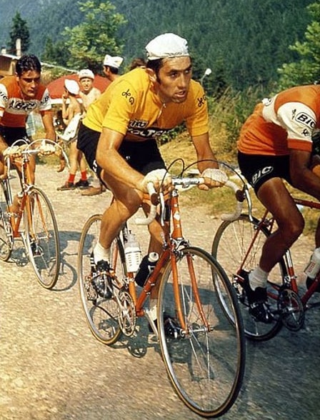 Picture of Eddy Merckx