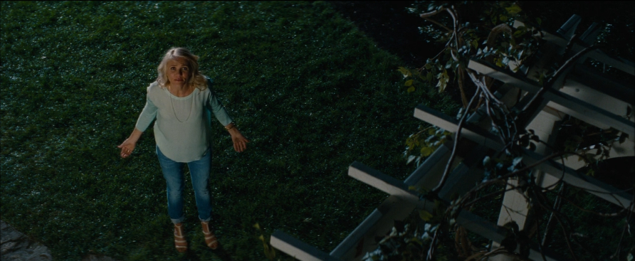 The Other Woman