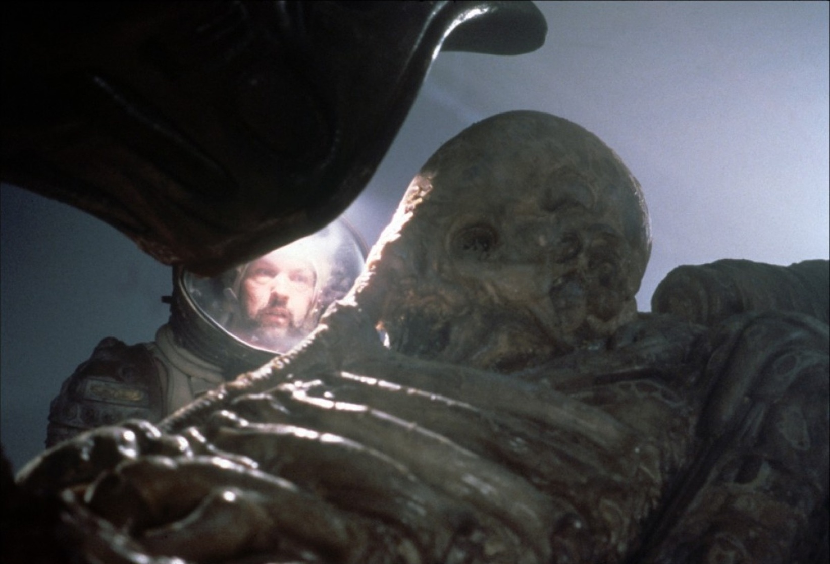 Alien Alien
