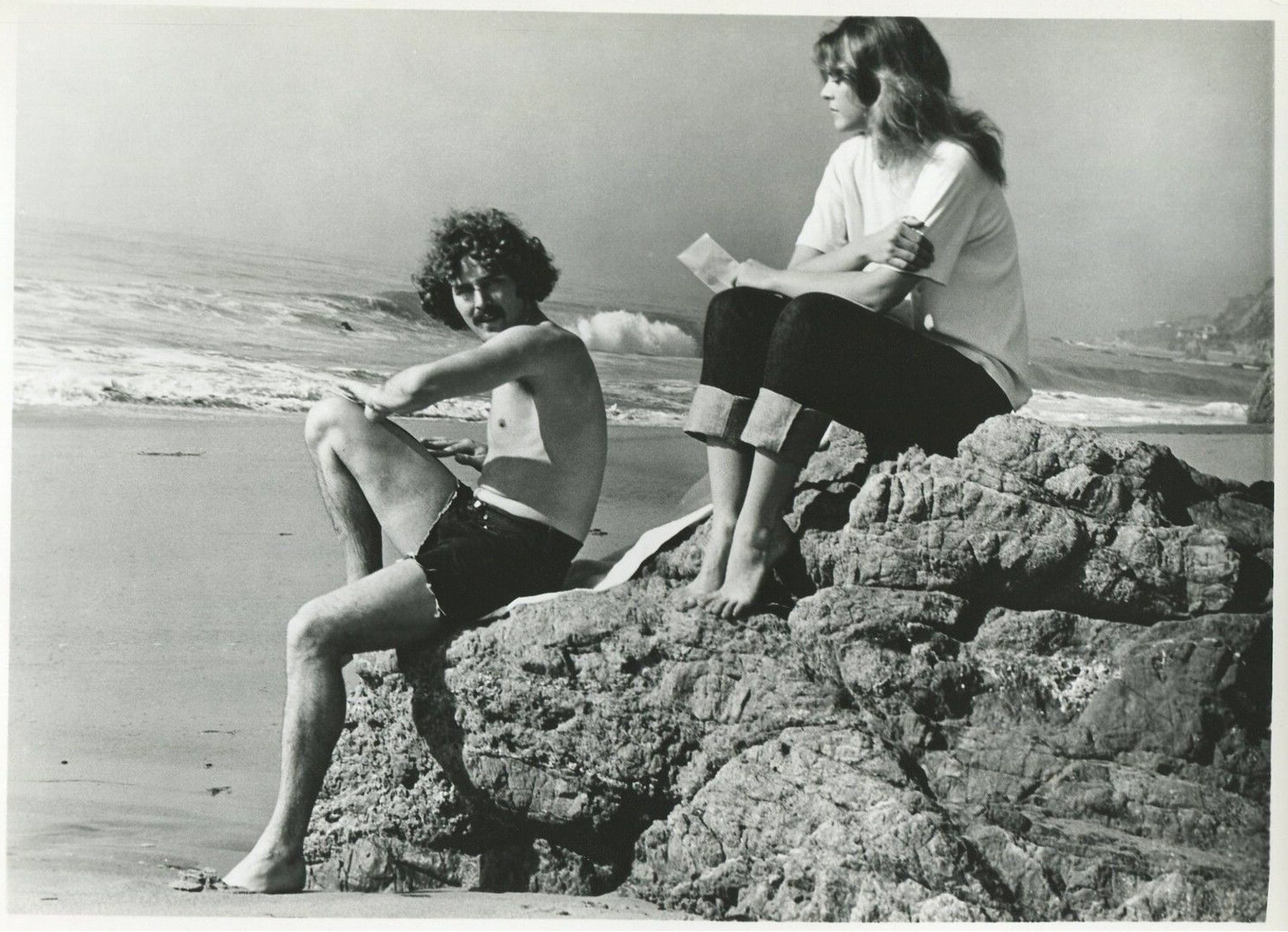 Picture of The Paper Chase (1973)