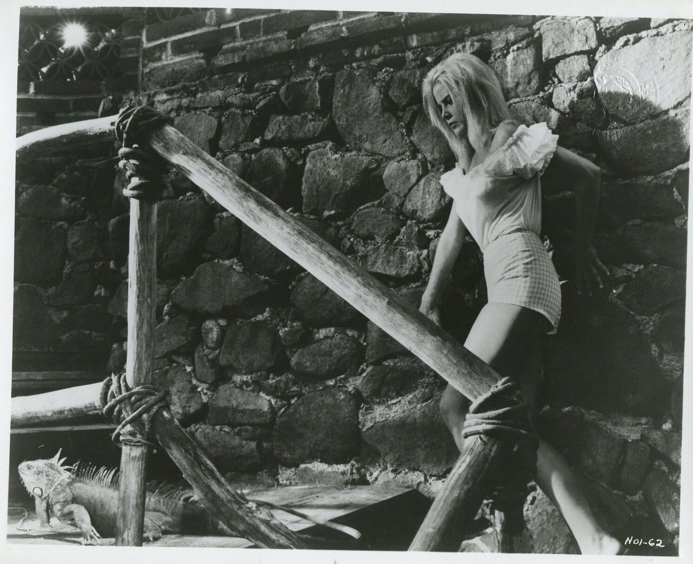 The Night of the Iguana (1964) The Night of the Iguana (1964)