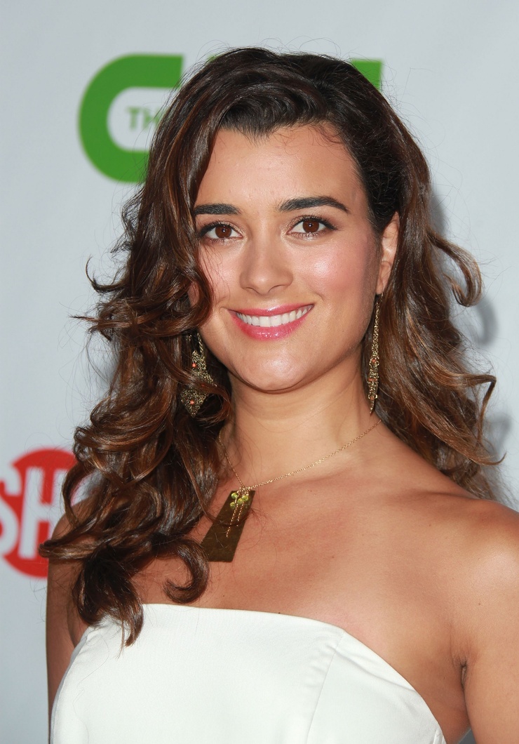 picture-of-cote-de-pablo