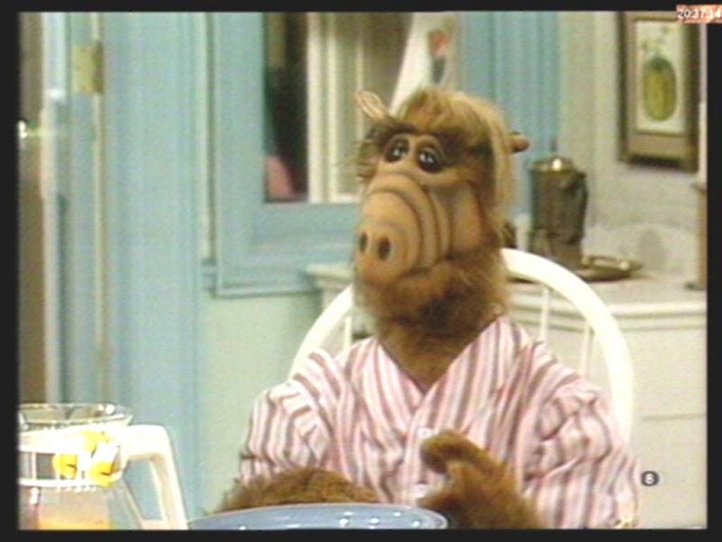 Picture Of Alf