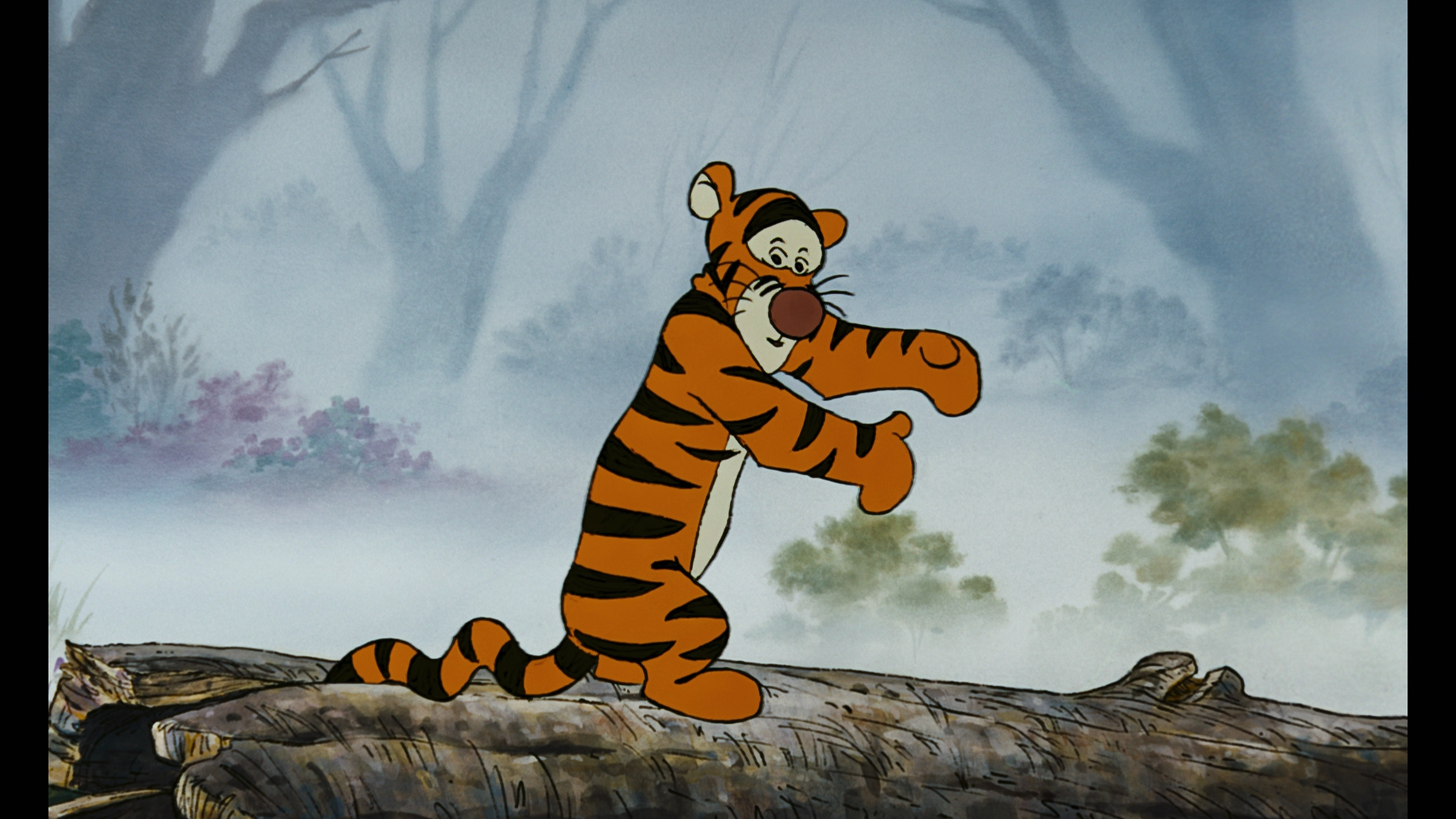 The Many Adventures of Winnie the Pooh (1977) The Many Adventures of Winnie the Pooh (1977)