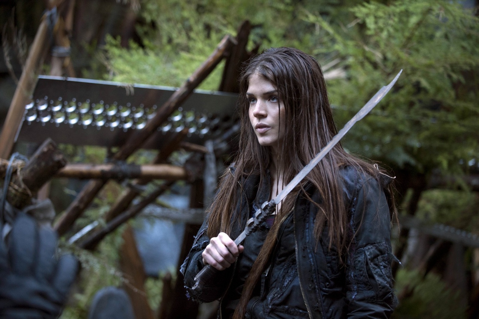 The 100 The 100