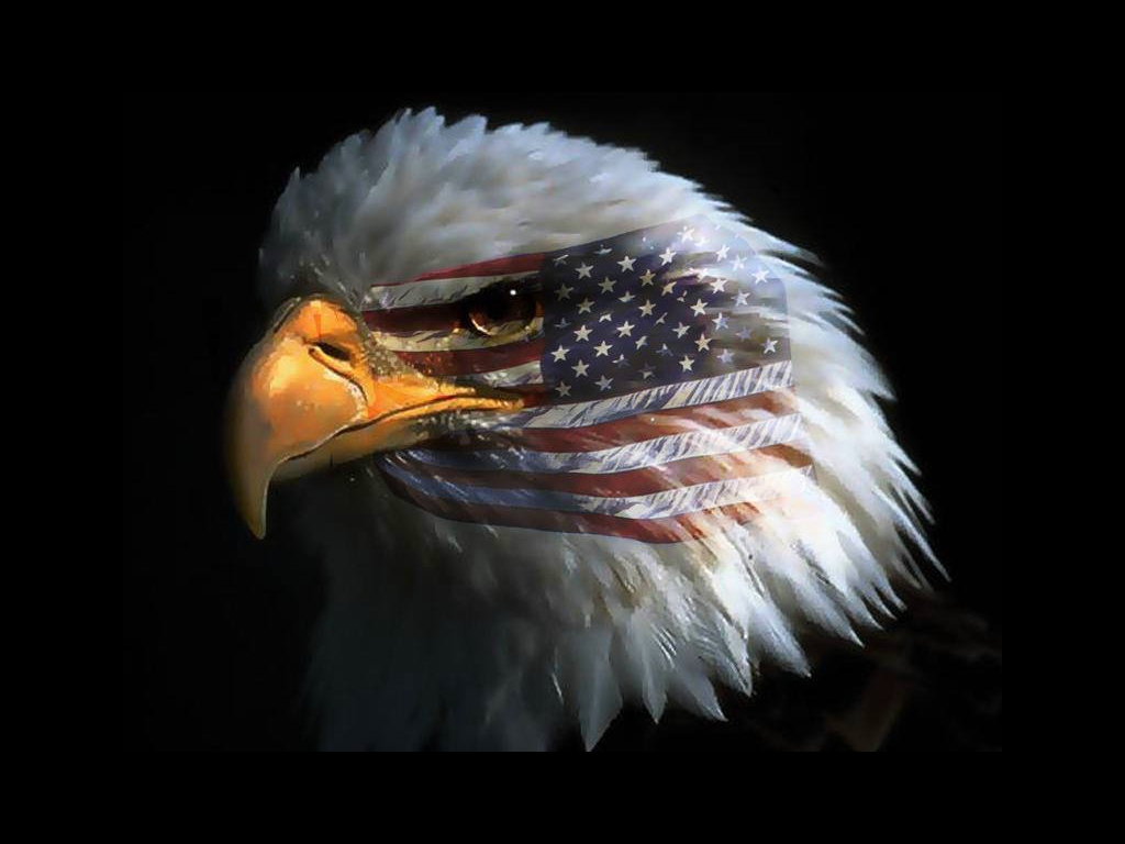 Flag of the United States