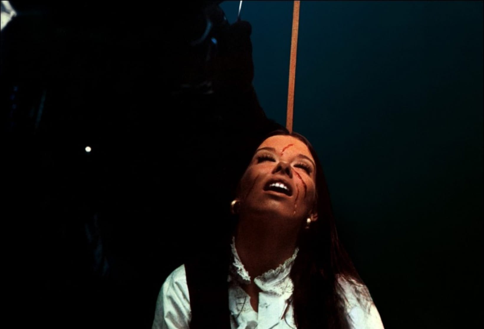 The Bird with the Crystal Plumage (1970) The Bird with the Crystal Plumage (1970)