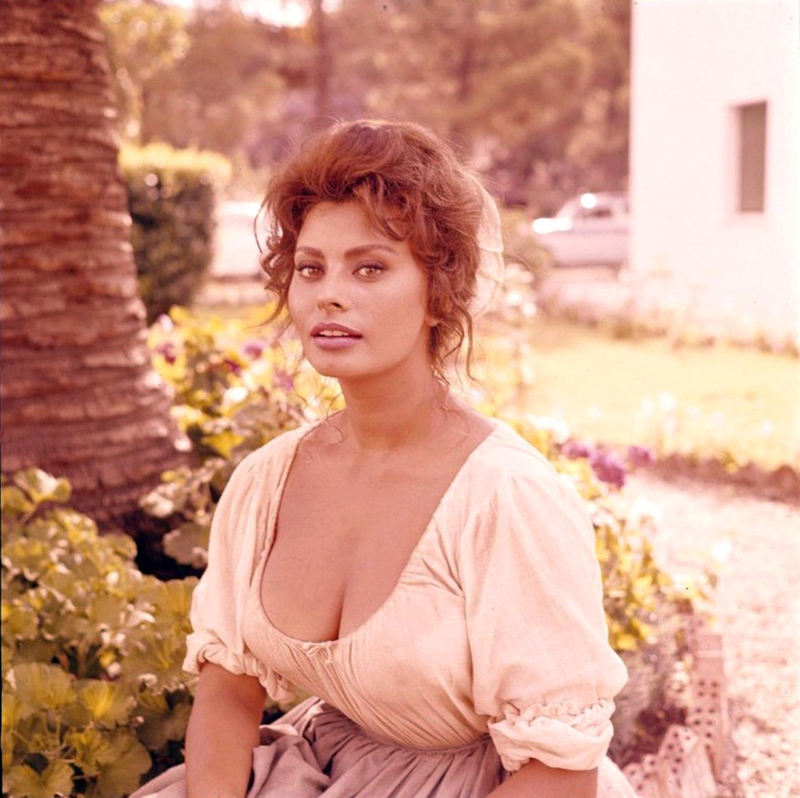 Sophia Loren