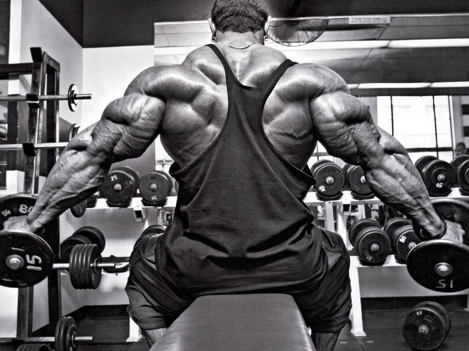 bodybuilding