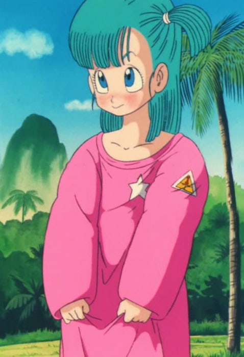 Picture of Bulma.
