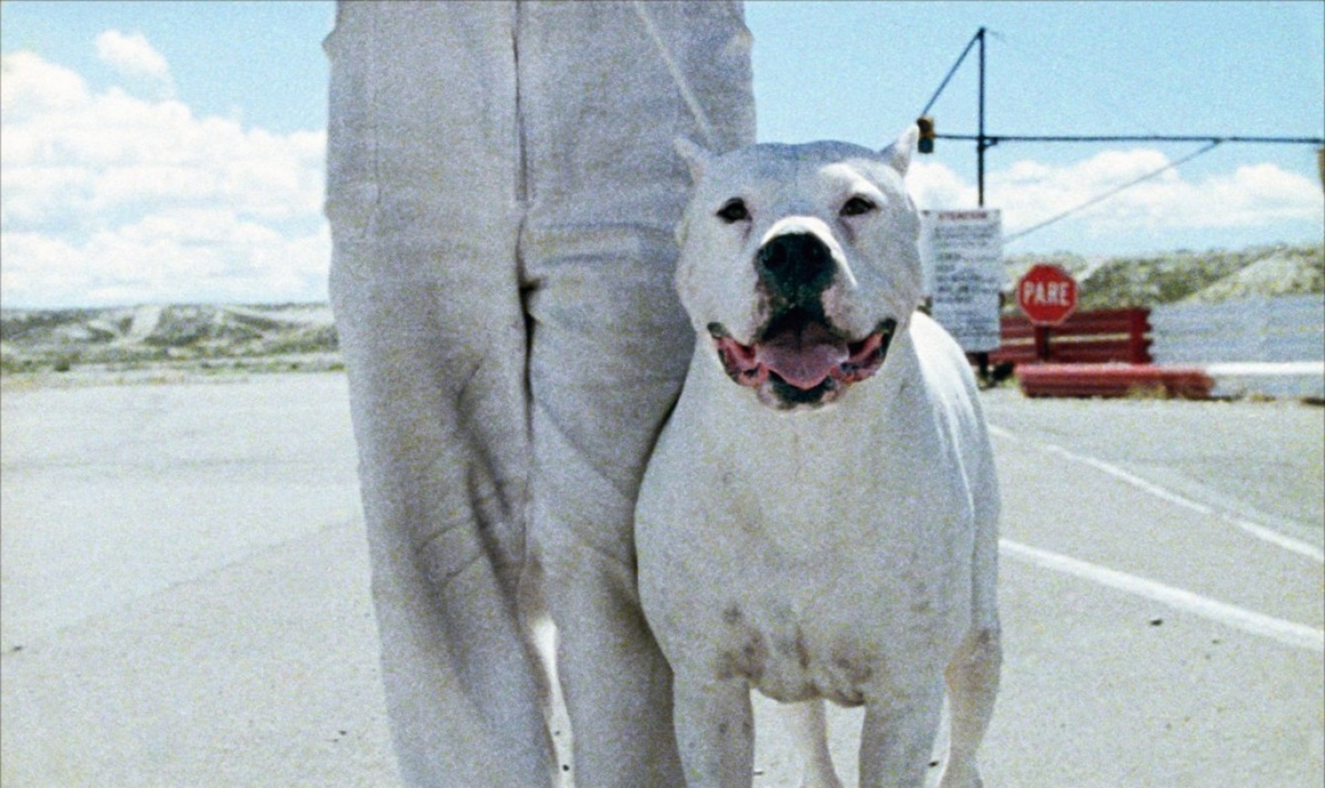 Bombón: El Perro Bombón: El Perro