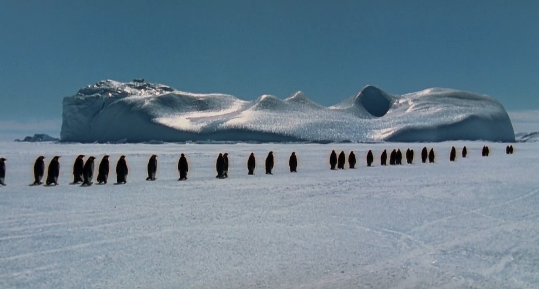 March of the Penguins March of the Penguins
