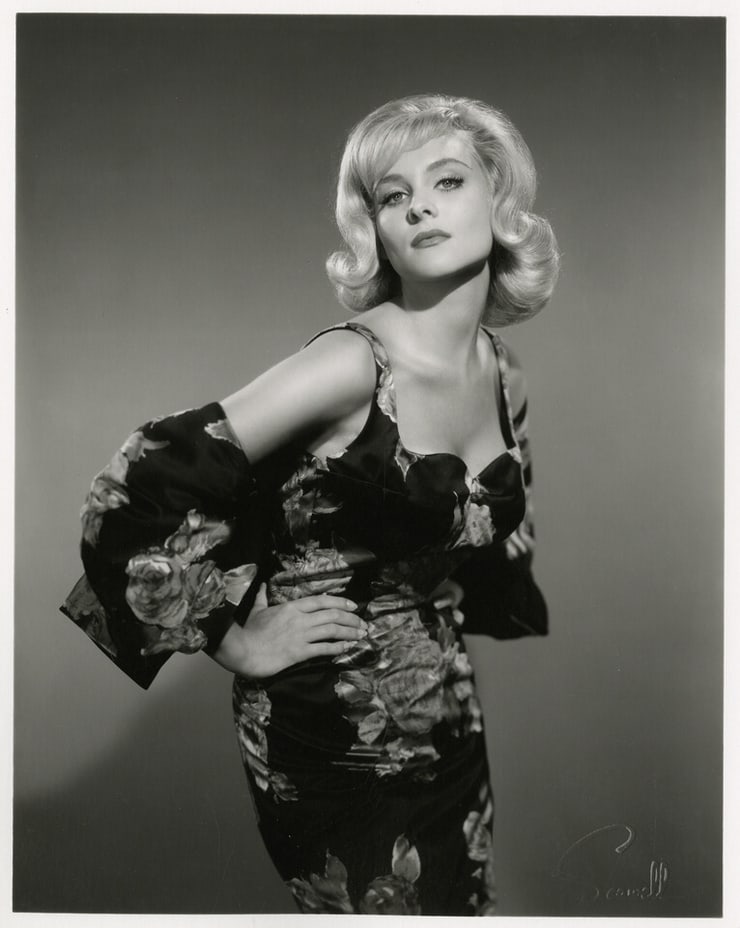 Next photo of Diane McBain