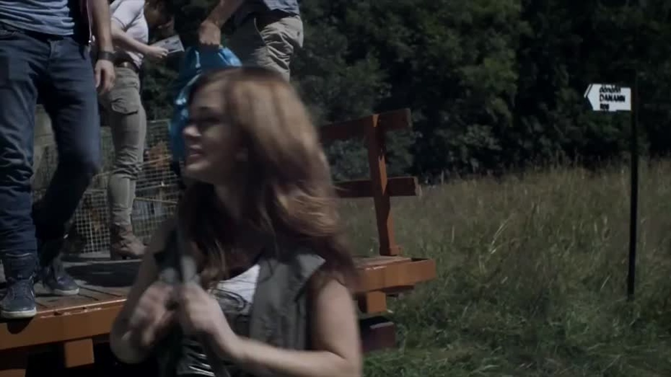 Picture Of Leprechaun Origins picture-of-leprechaun-origins