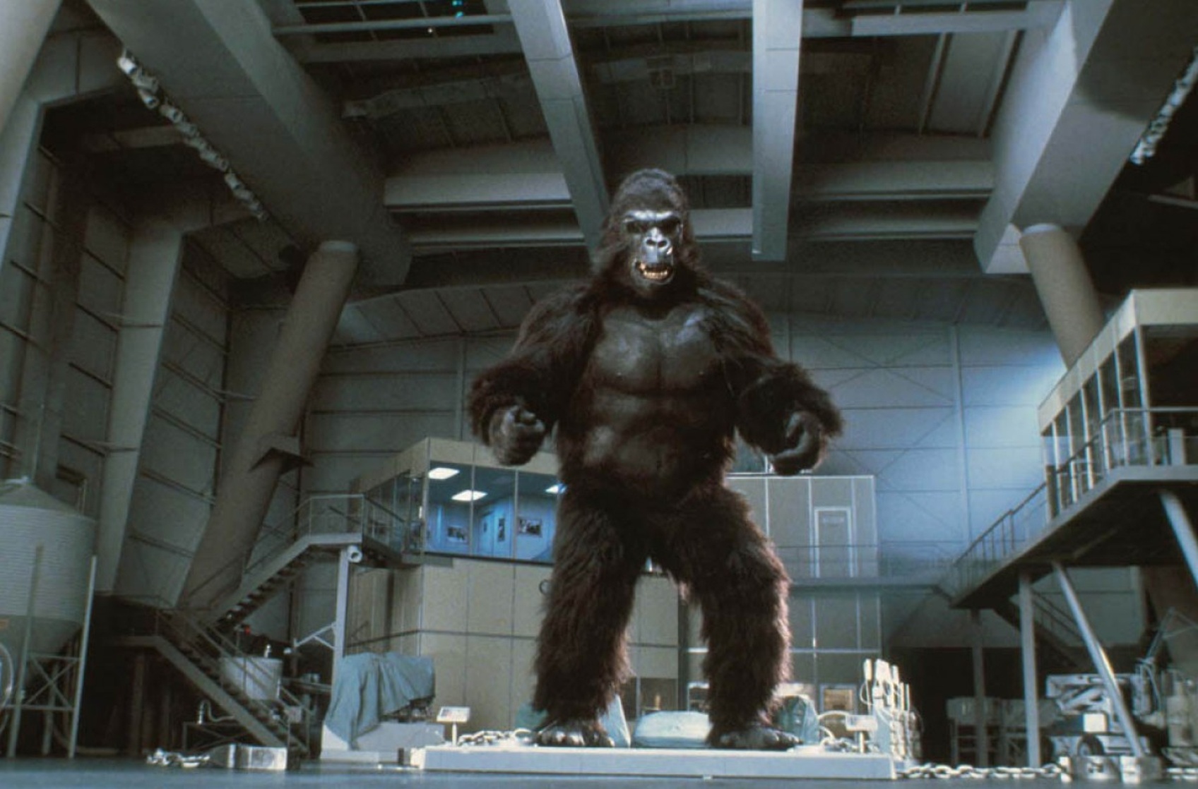 King Kong King Kong