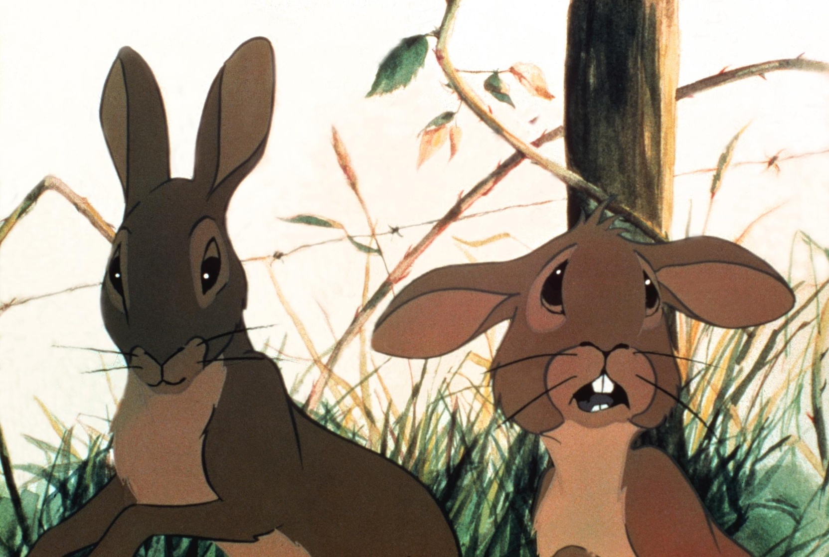 Watership Down