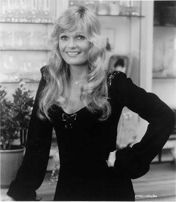 Picture of Valerie Perrine