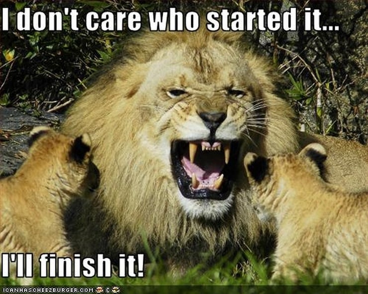 Animal Humor,; part 9; The Lions