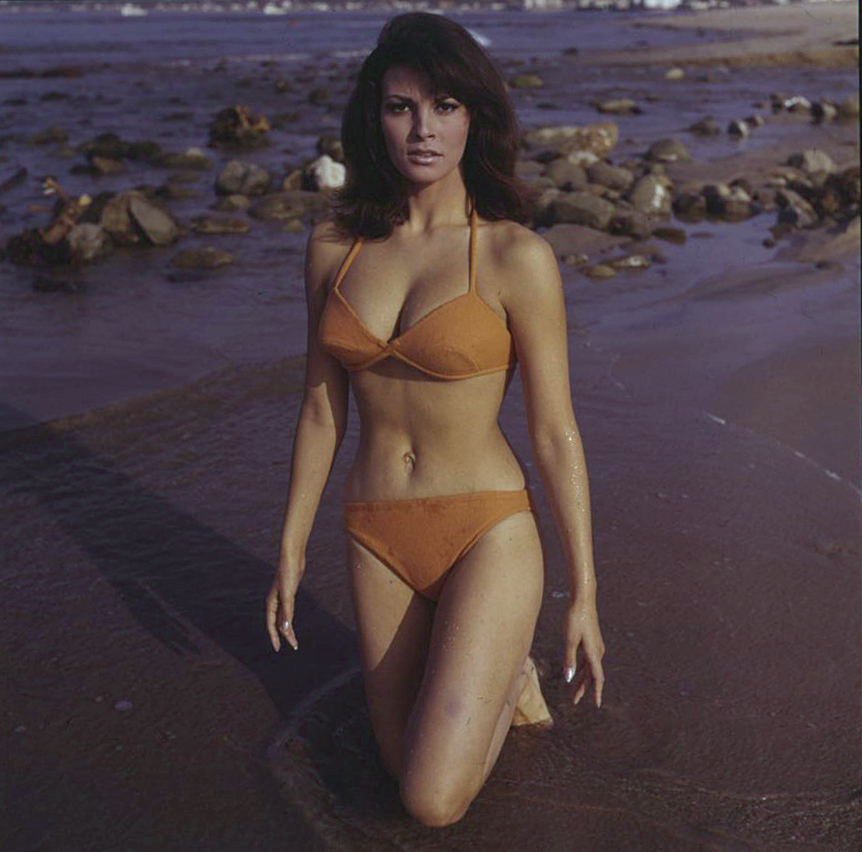 Raquel Welch