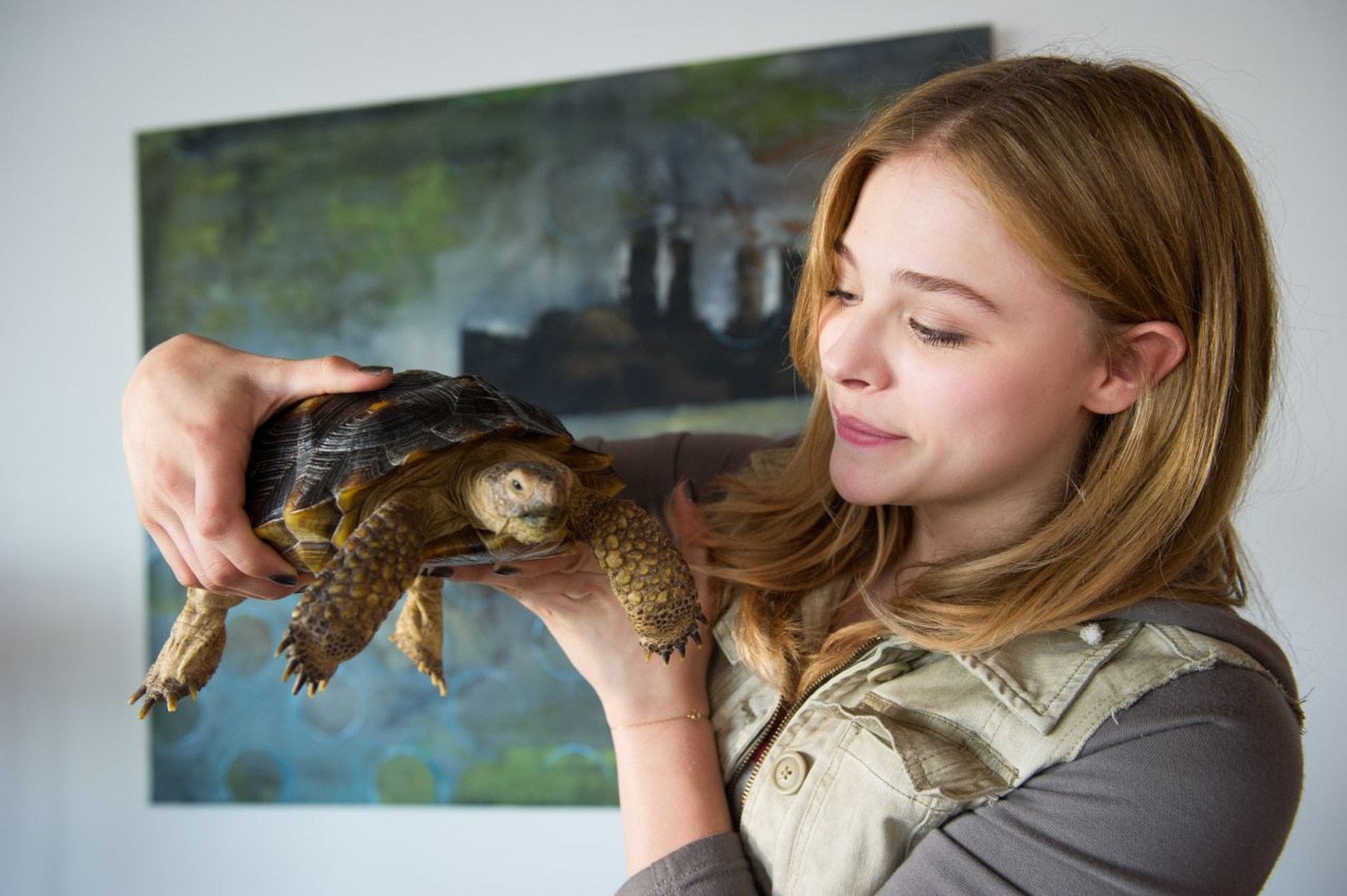 Laggies Laggies