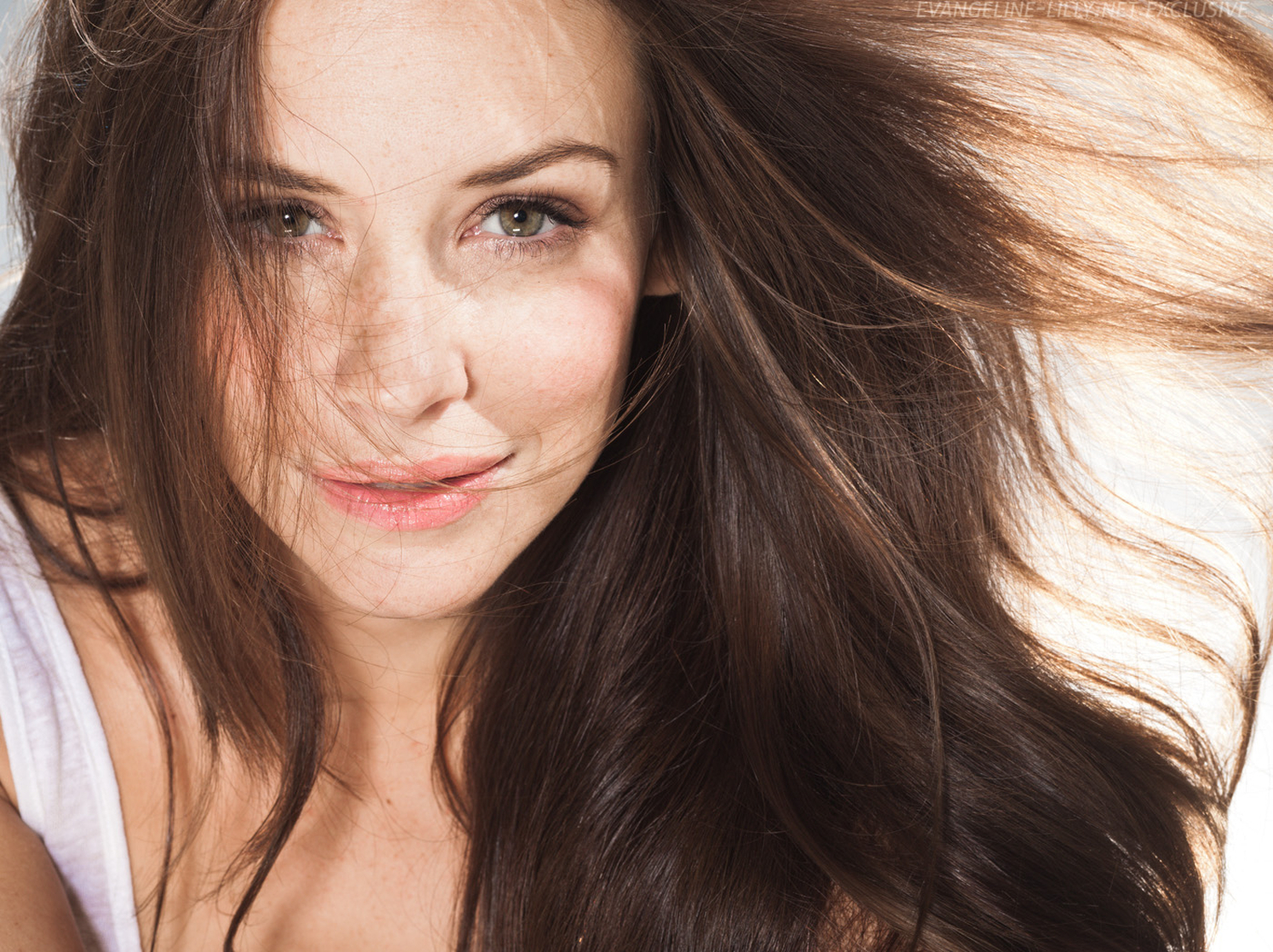 Evangeline Lilly Evangeline Lilly